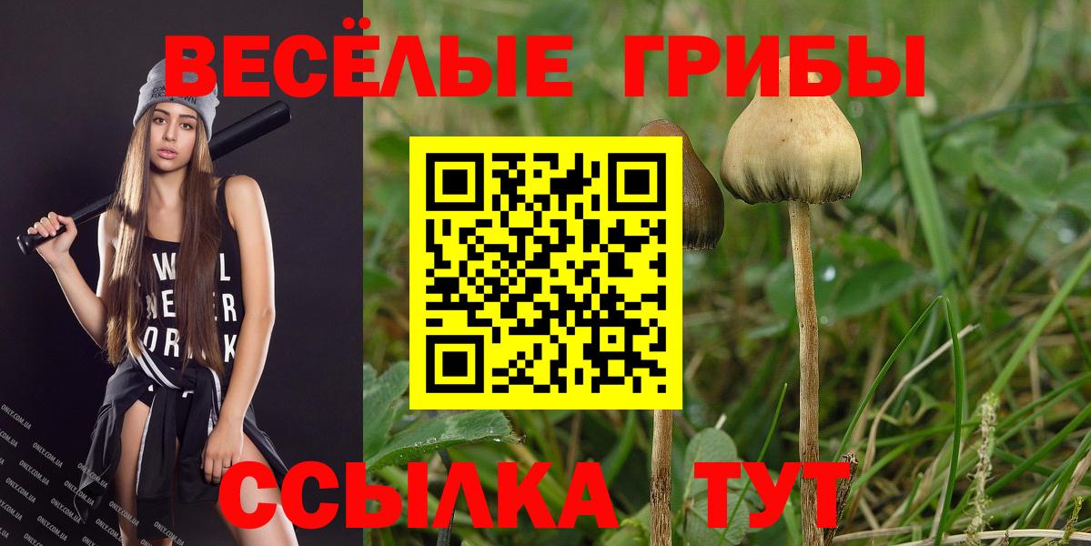 наркотики  Галлюциногенные грибы ЛСД  Псилоцибиновые грибы Cubensis  Вход с VPN  Старый Оскол 
